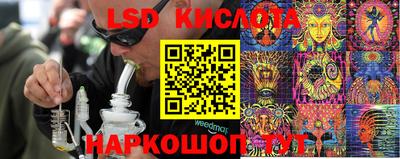 гидра Ярославль