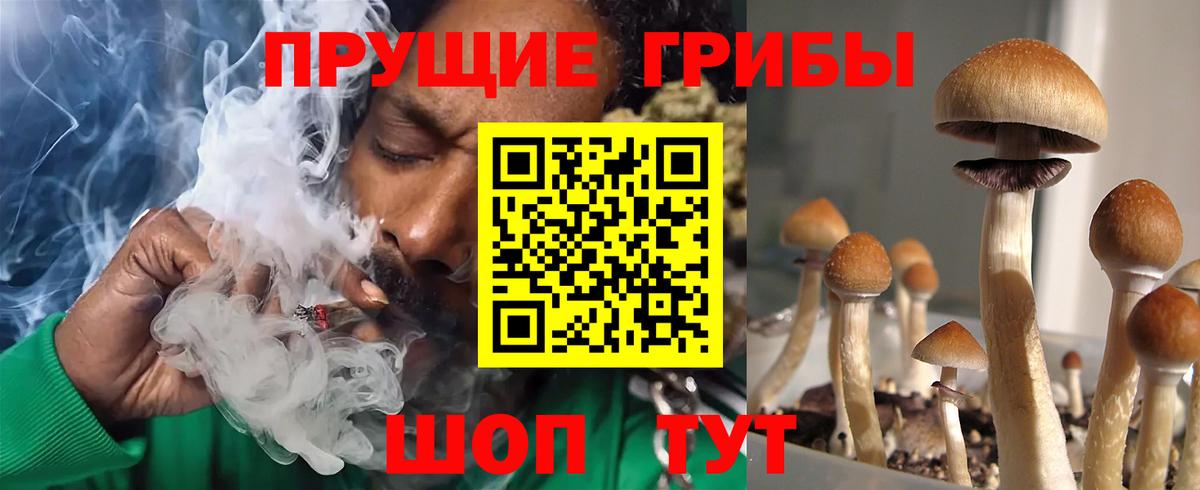 МЕФ Большой Камень