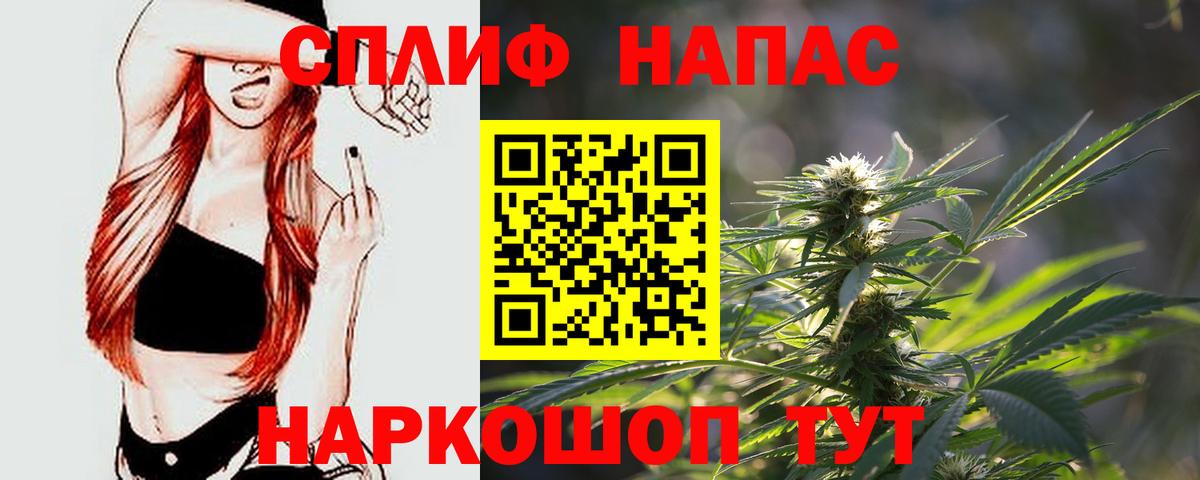 Бошки марихуана тримм  Конопля сатива  Большой Камень  Конопля план  Вход с VPN  Каннабис Bruce Banner 